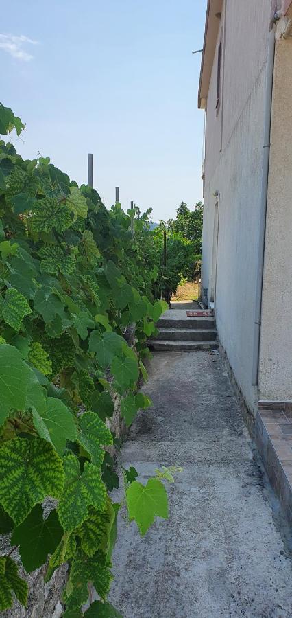 Margaret'S Guest House Mesopotam Bagian luar foto